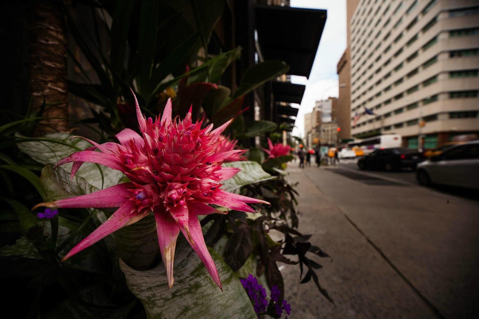 Duane Street Hotel Tribeca, Sonder By Marriott Bonvoy 纽约 外观 照片